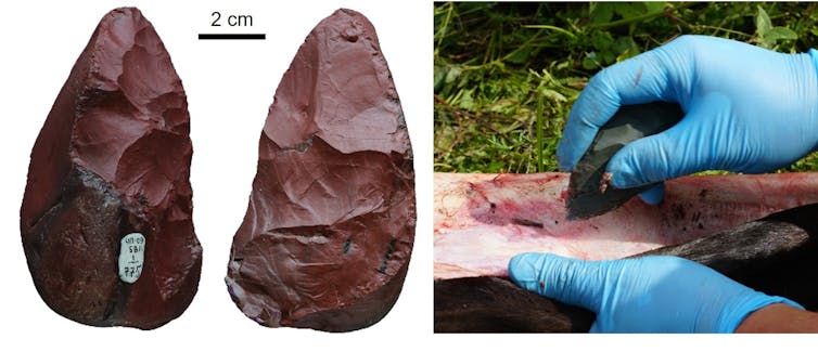 Stone tools reveal epic trek of nomadic Neanderthals