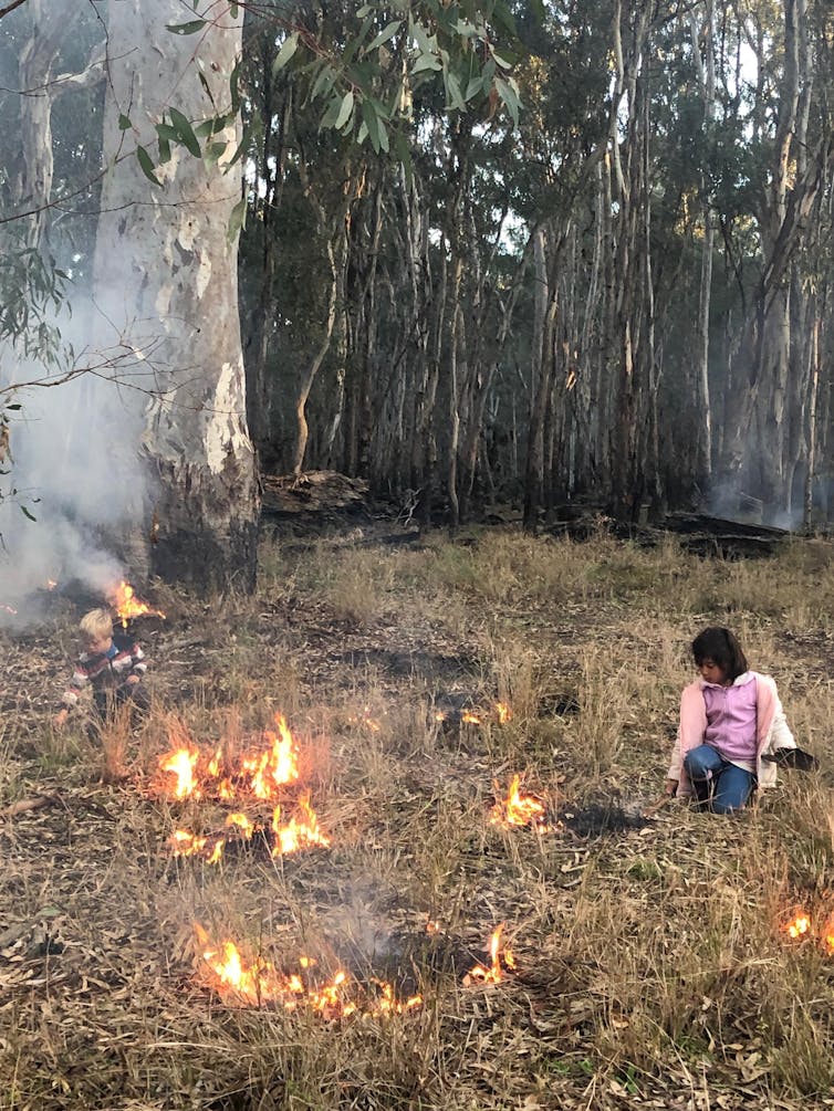 this grandmother tree connects me to Country. I cried when I saw her burned