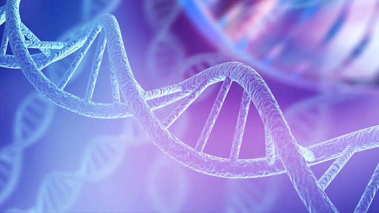 Invecchiamento: come i nostri "orologi epigenetici" rallentano invecchiando 1 file 20200116 181593 wtttji.jpg?ixlib=rb 1.1