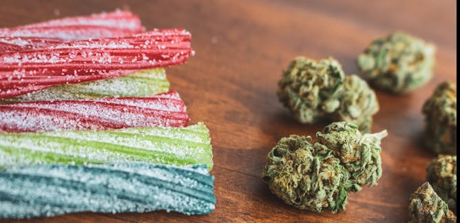 Cannabis Edibles Information Recherche Et Analyse The Conversation France Page 1 Cannabis Edibles Information Recherche Et Analyse The Conversation France Page 1