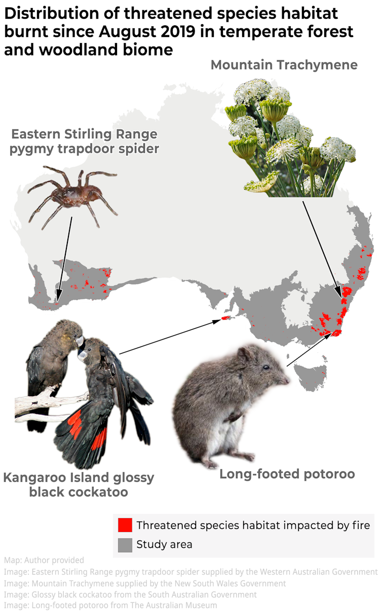 Six million hectares of threatened species habitat up in smoke