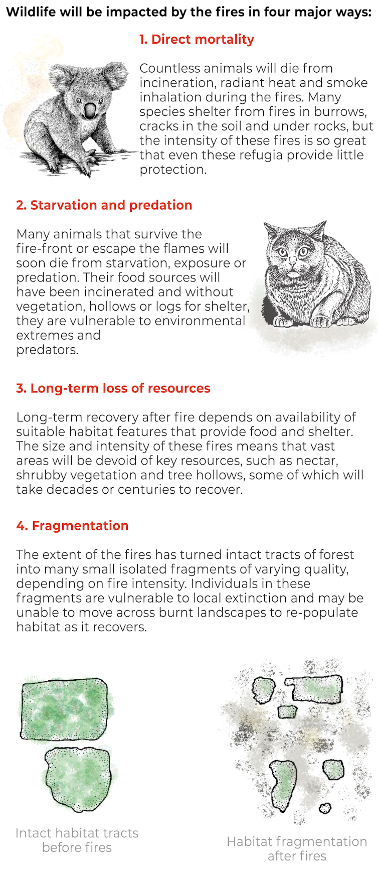 Six million hectares of threatened species habitat up in smoke