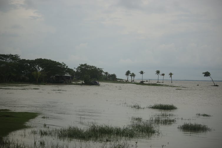 View of coastline with waters extending far inland