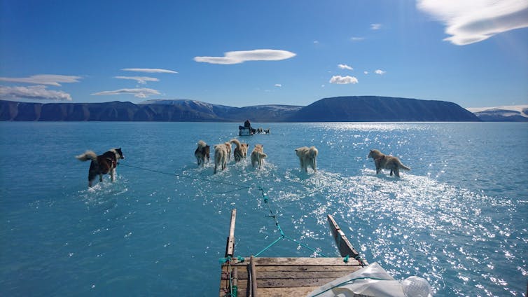 Scientists hate to say 'I told you so'. But Australia, you were warned