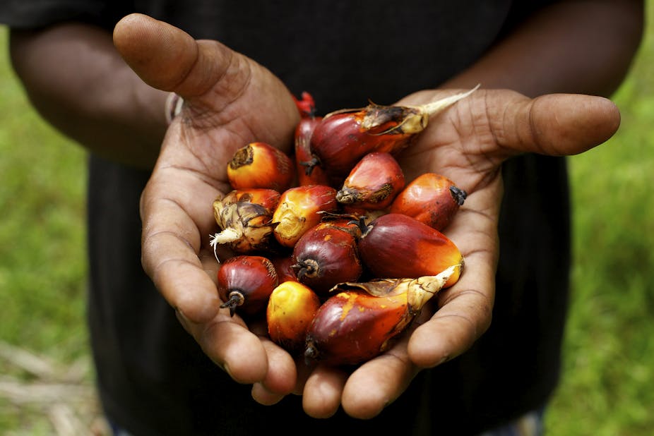 Two ways to value sustainable palm oil