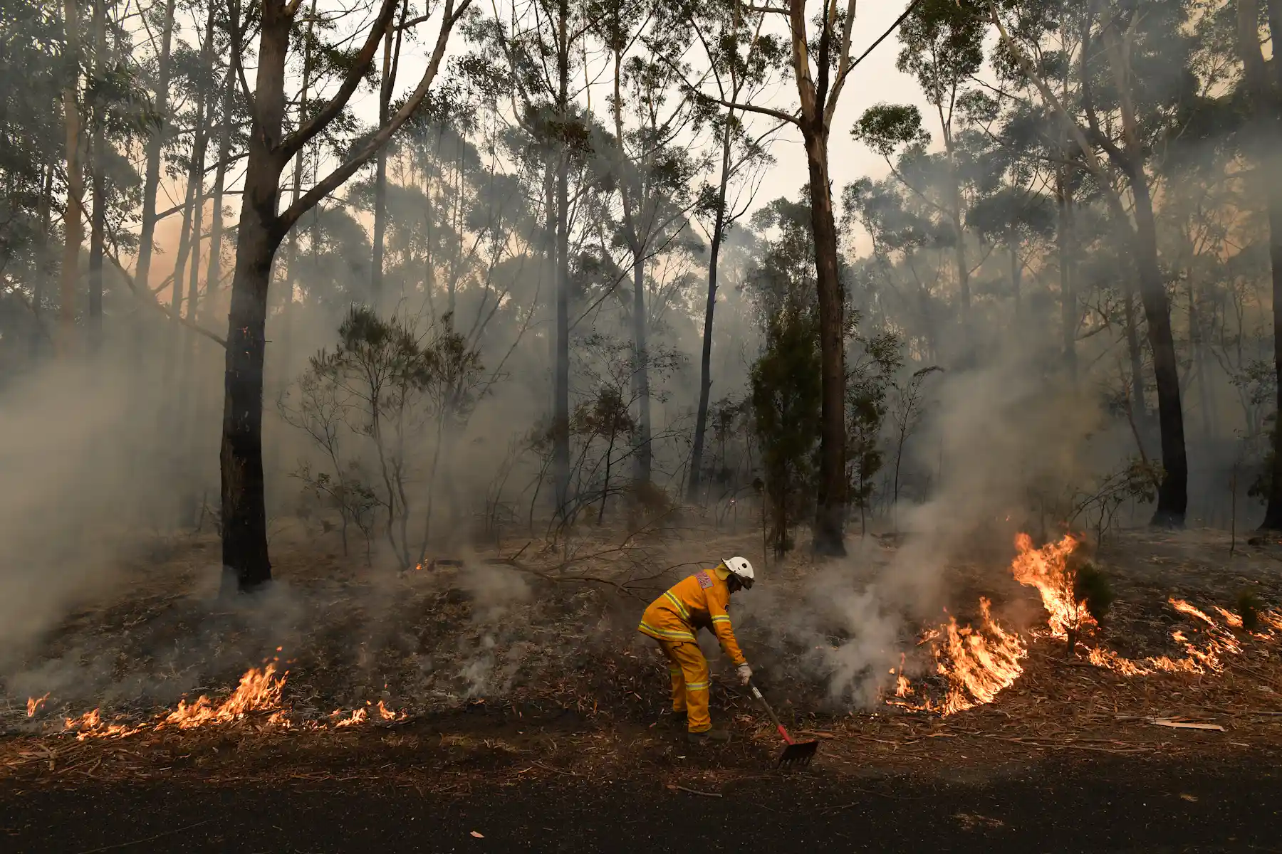 Out of control, contained, safe? Here's what each bushfire status ...
