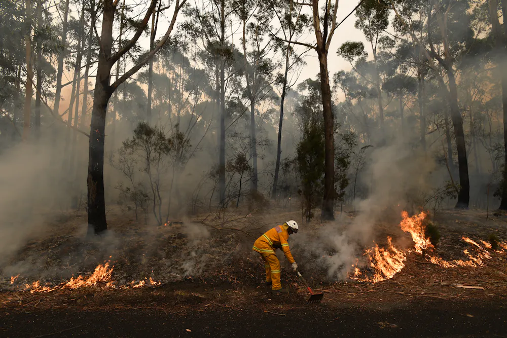 Bushfire Containment Out of control, contained, safe? Here's what each bushfire status ...