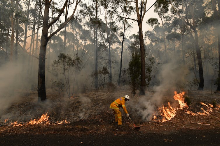 Out of control, contained, safe? Here's what each bushfire status actually means
