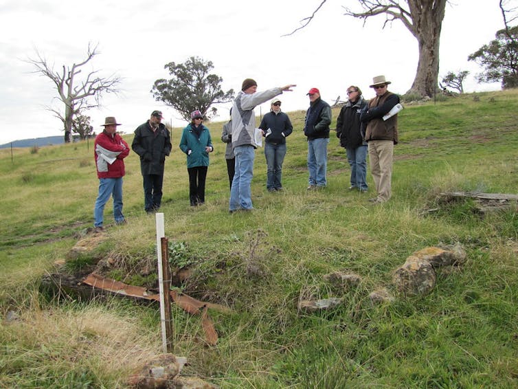 Pulling out weeds is the best thing you can do to help nature recover from the fires