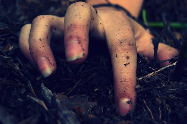 Pulling out weeds is the best thing you can do to help nature recover from the fires