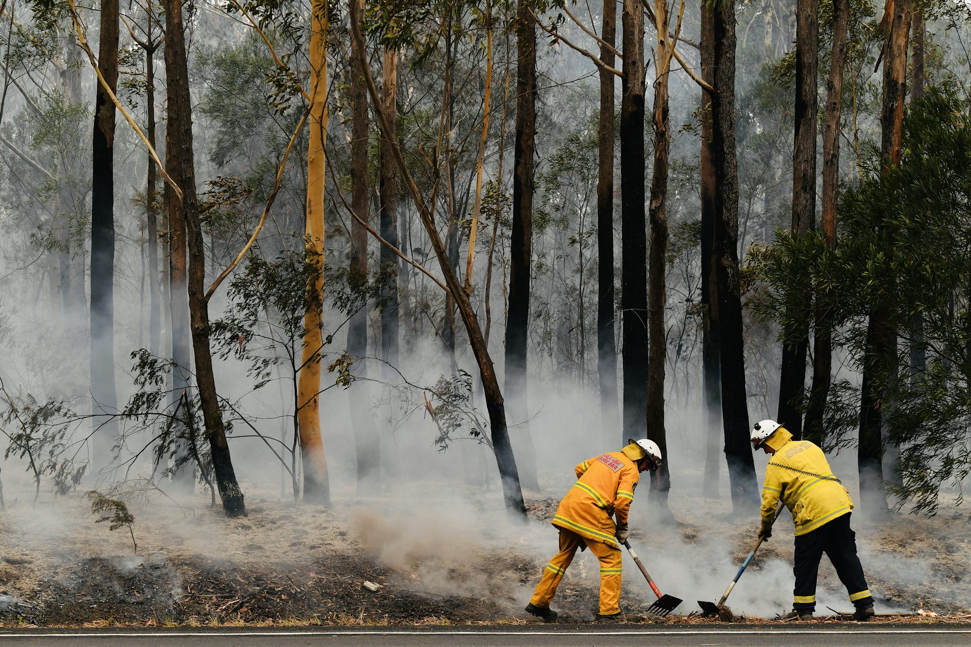 Out Of Control, Contained, Safe? Here's What Each Bushfire Status ...