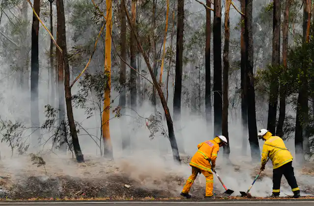 Out of control, contained, safe? Here's what each bushfire status ...