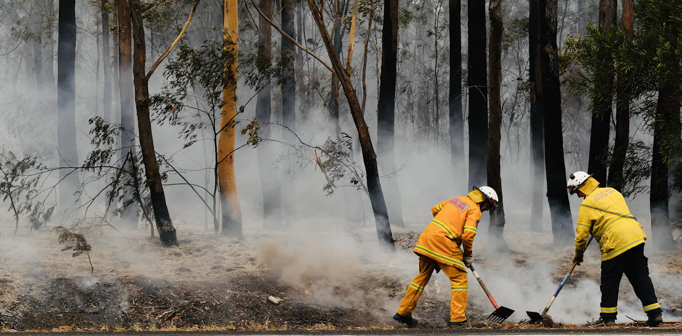 Bushfire Containment Out of control, contained, safe? Here's what each bushfire status ...