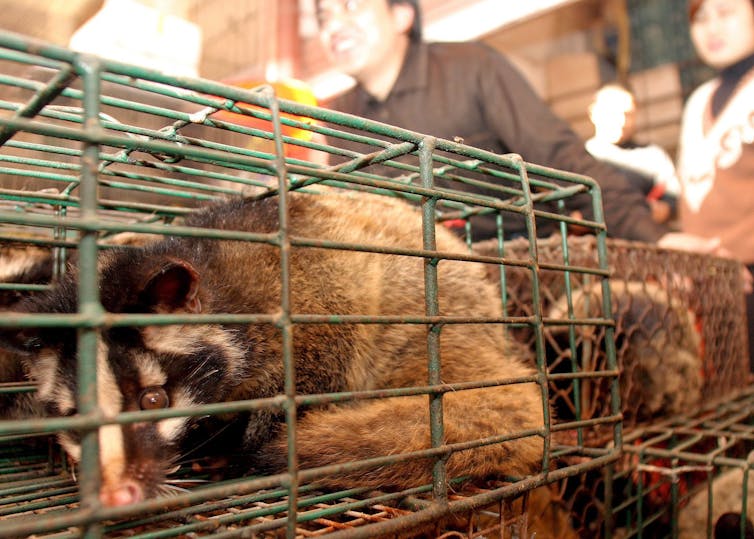 Coronavirus We Still Haven T Learned The Lessons From Sars