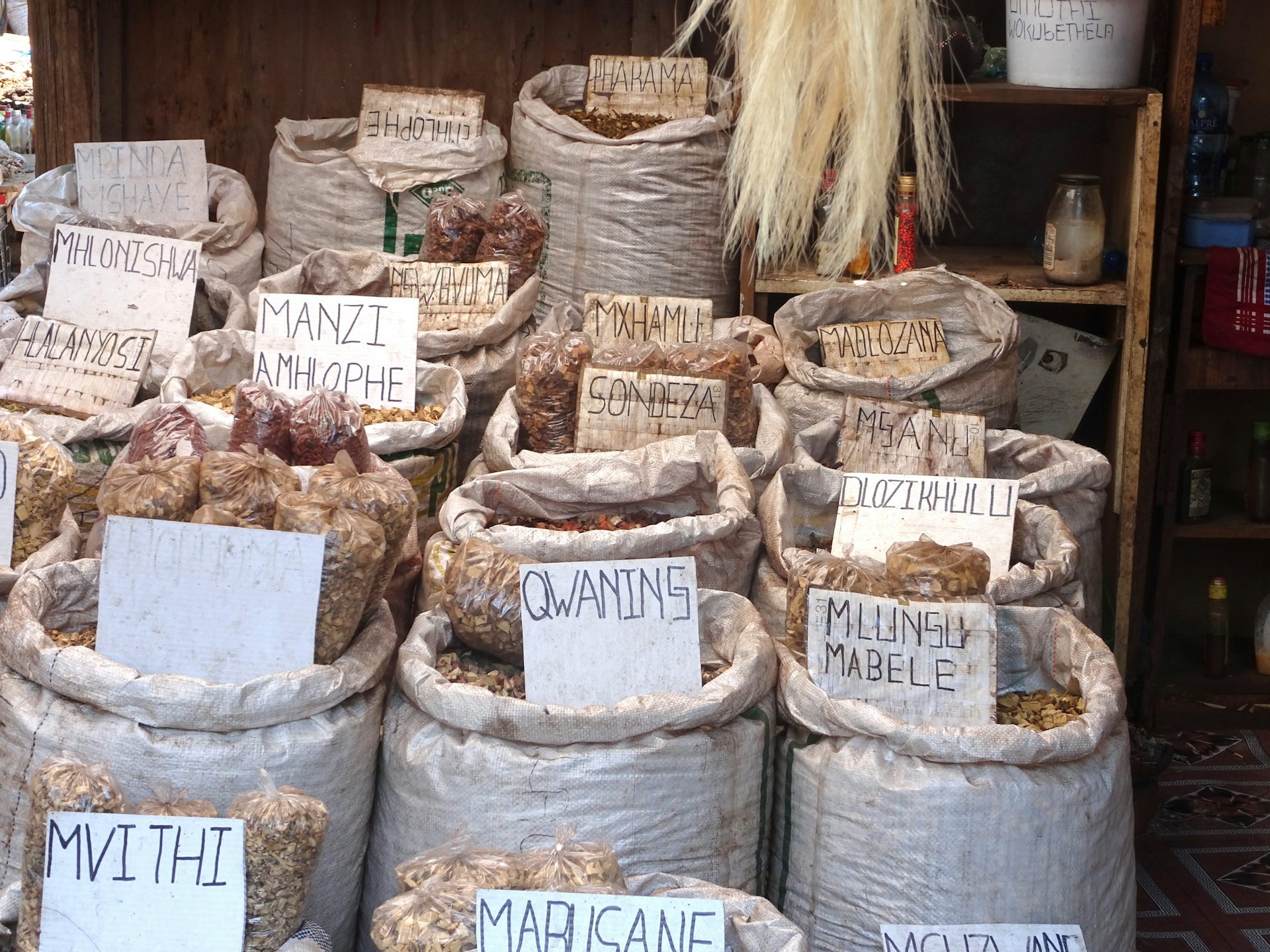 The Story of the Pharma Giant and the African Yam