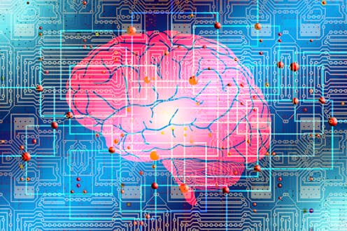 A La Decouverte Des Connexions Du Cerveau A La Decouverte Des Connexions Du Cerveau