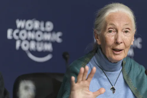 jelaskan syarat sebagai analisis peluang usaha Jane Goodall Berita Riset dan Analisis The jelaskan syarat sebagai analisis peluang usaha Jane Goodall Berita Riset dan Analisis The