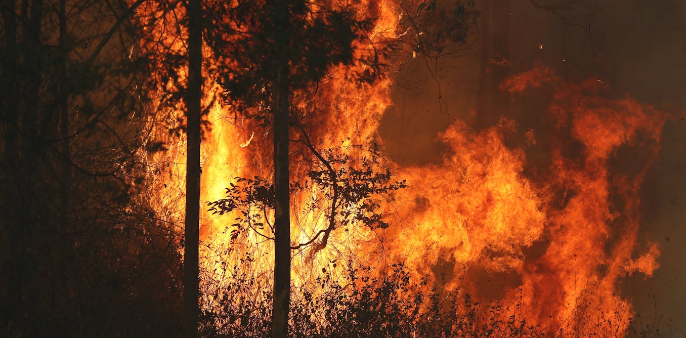 We have the vaccine for climate disinformation – let’s use it