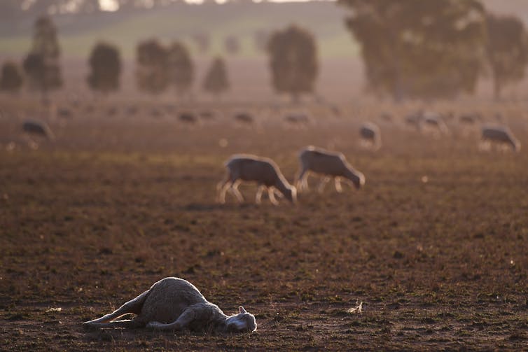 We have the vaccine for climate disinformation – let's use it