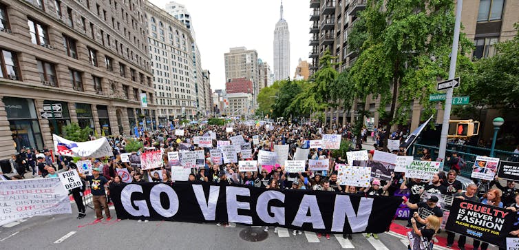 Creative Activism - The Vegan Utopia