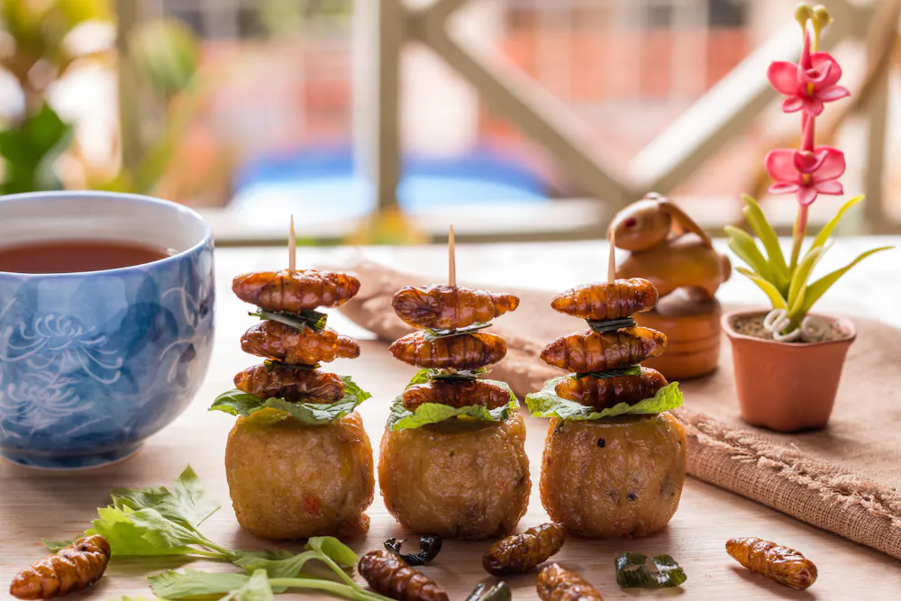 Insects, seaweed and lab-grown meat could be the foods of the future