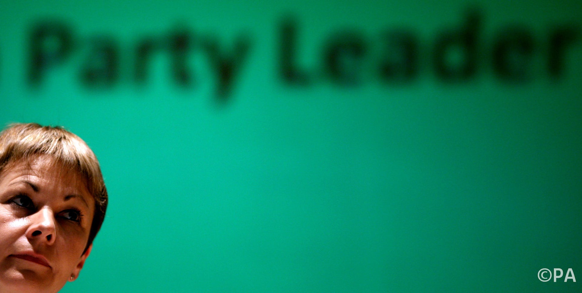 What’s the point of the Green Party?