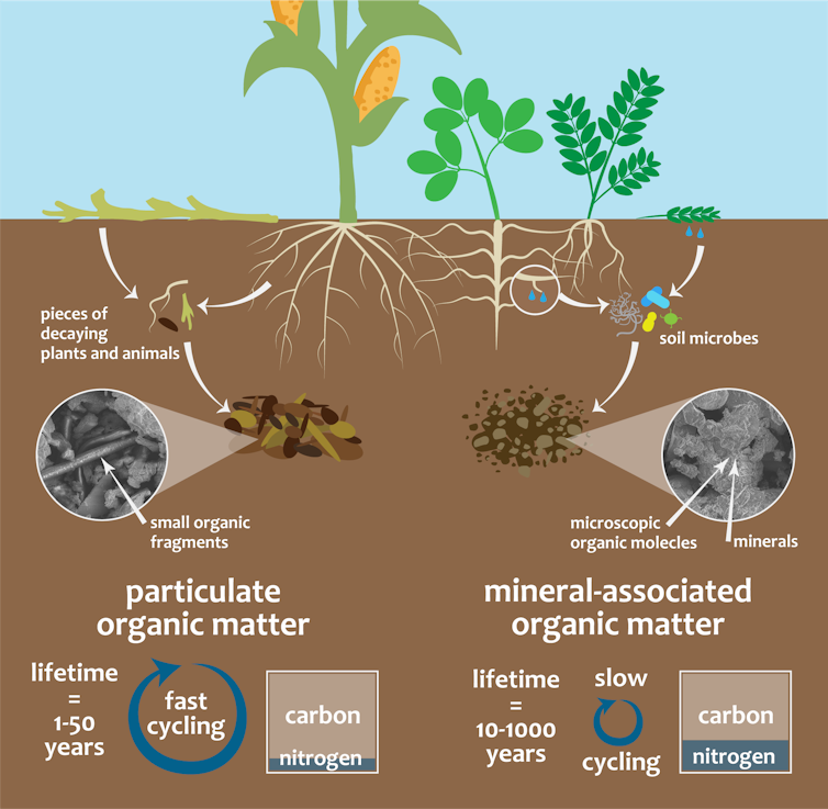 Soil carbon is a valuable resource, but all soil carbon is not created equal