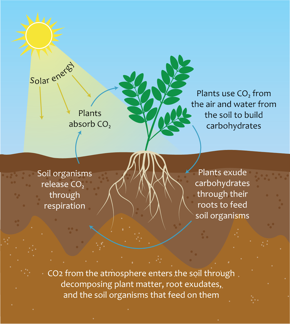 Soil can store gigatons of carbon, and Yard Stick wants to measure it all