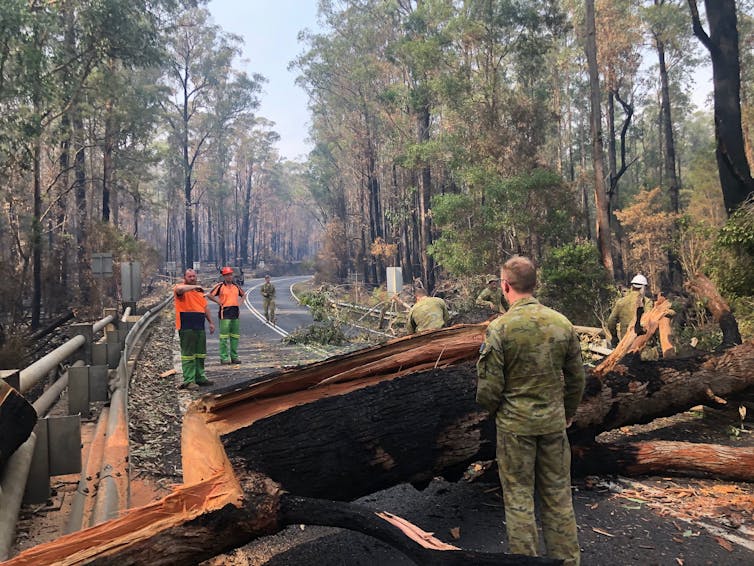bushfires showed we're only ever one step from system collapse