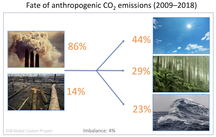 Yes, more carbon dioxide in the atmosphere helps plants grow, but it’s no excuse to downplay climate change