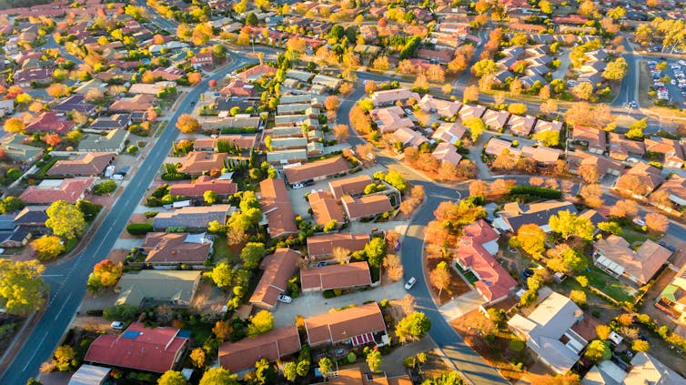 Here are 5 practical ways trees can help us survive climate change