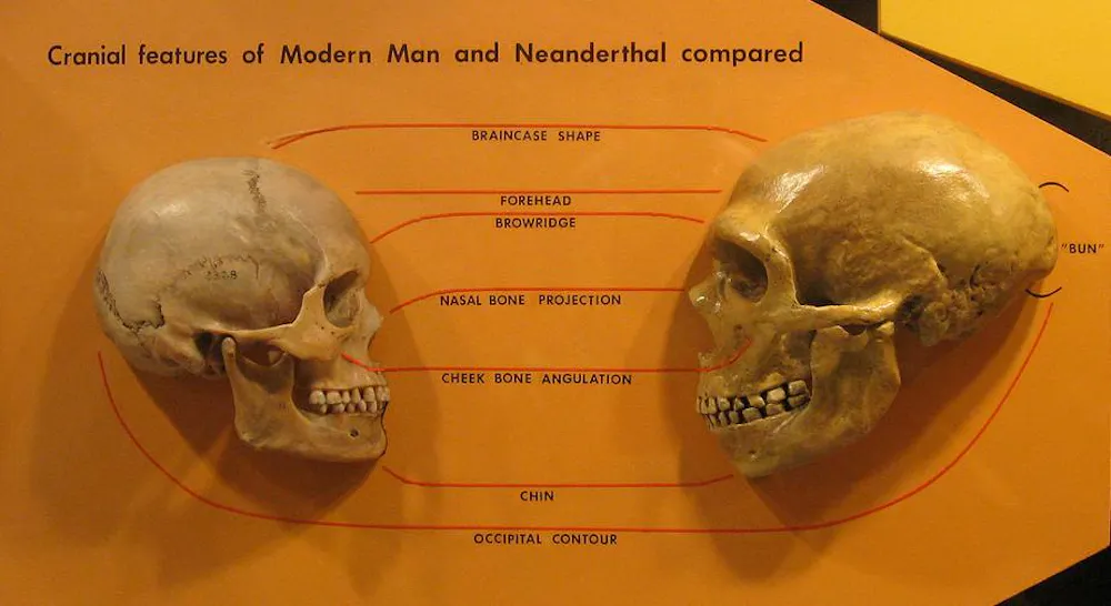 early humans in africa may have