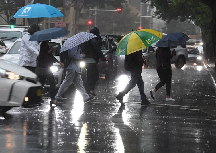 Heavy rains are great news for Sydney's dams, but they come with a big caveat