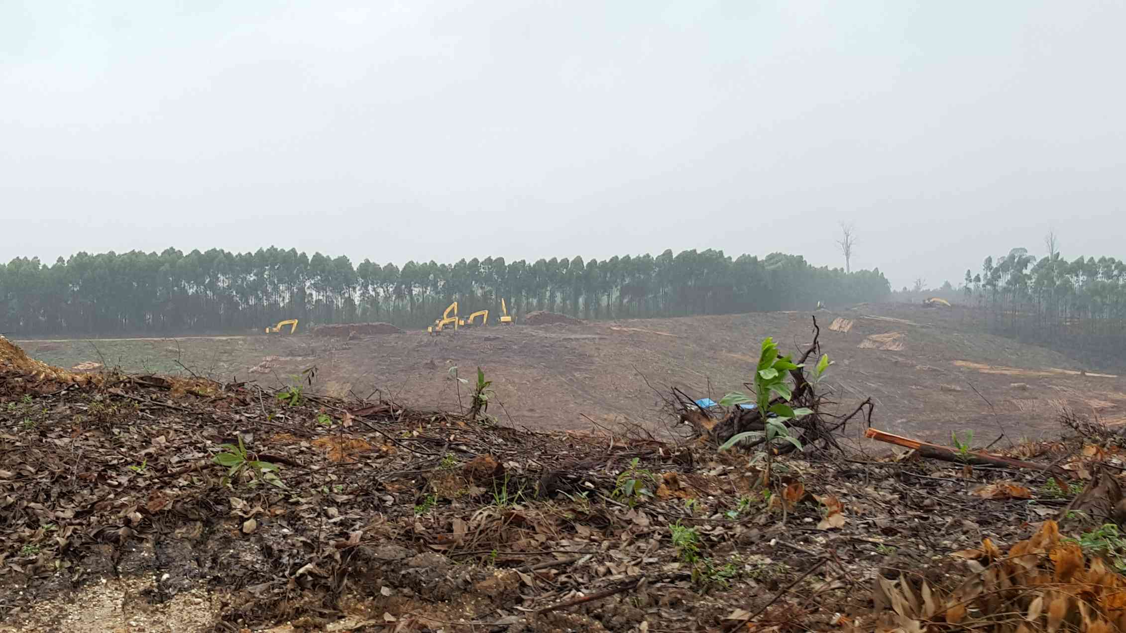 Riset temukan dua cara jitu yang dipakai masyarakat lokal dalam