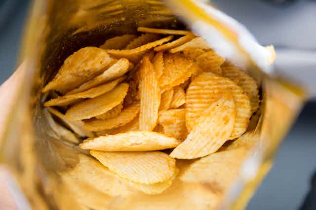 should junk food be banned in schools argumentative essay