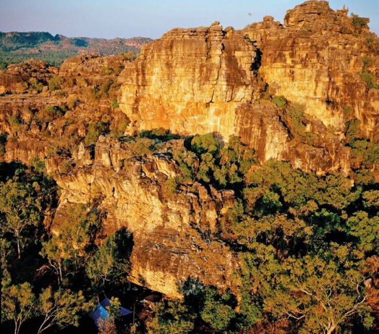 65,000-year-old plant remains show the earliest Australians spent plenty of time cooking