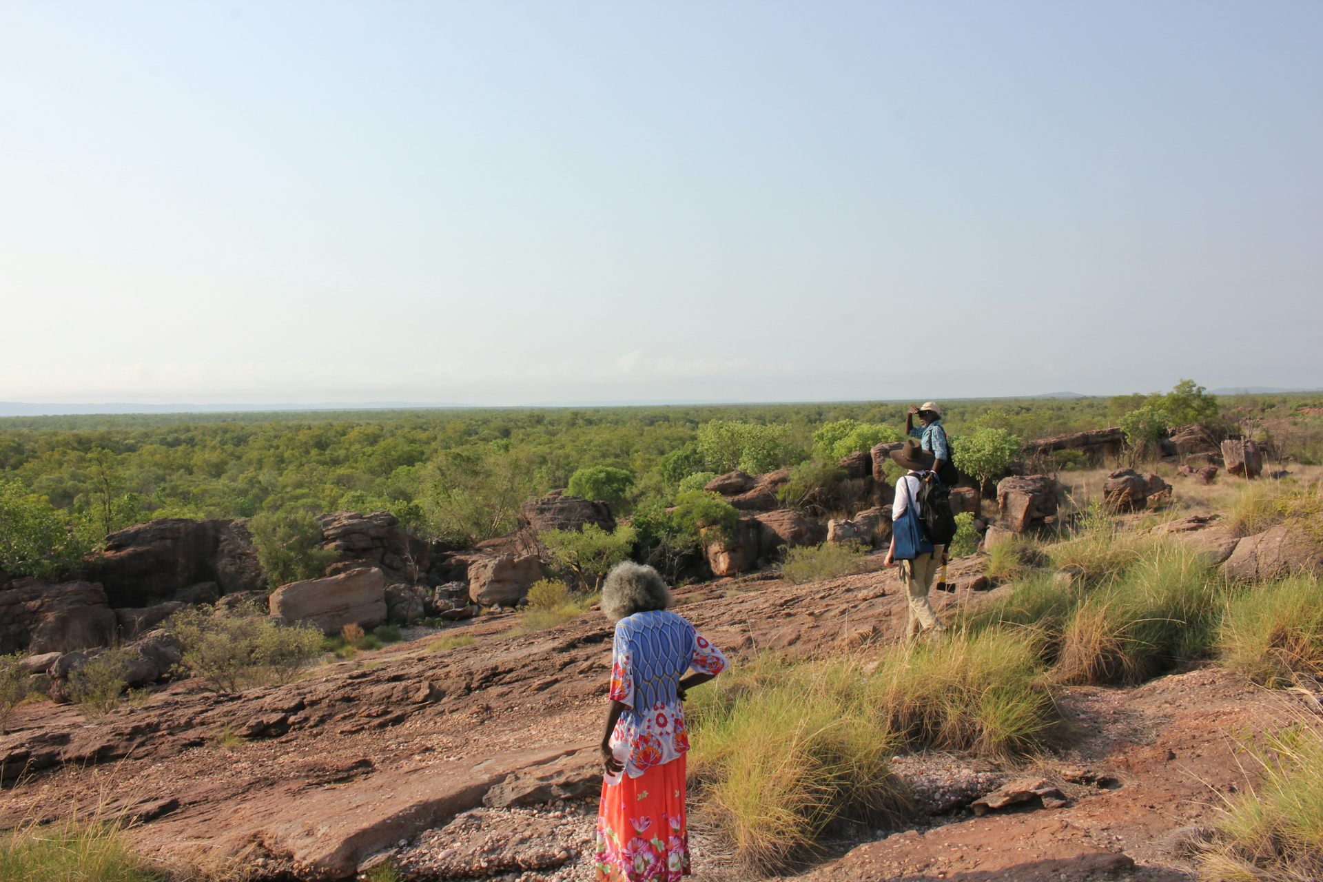 65,000-year-old plant remains show the earliest Australians spent plenty of time cooking