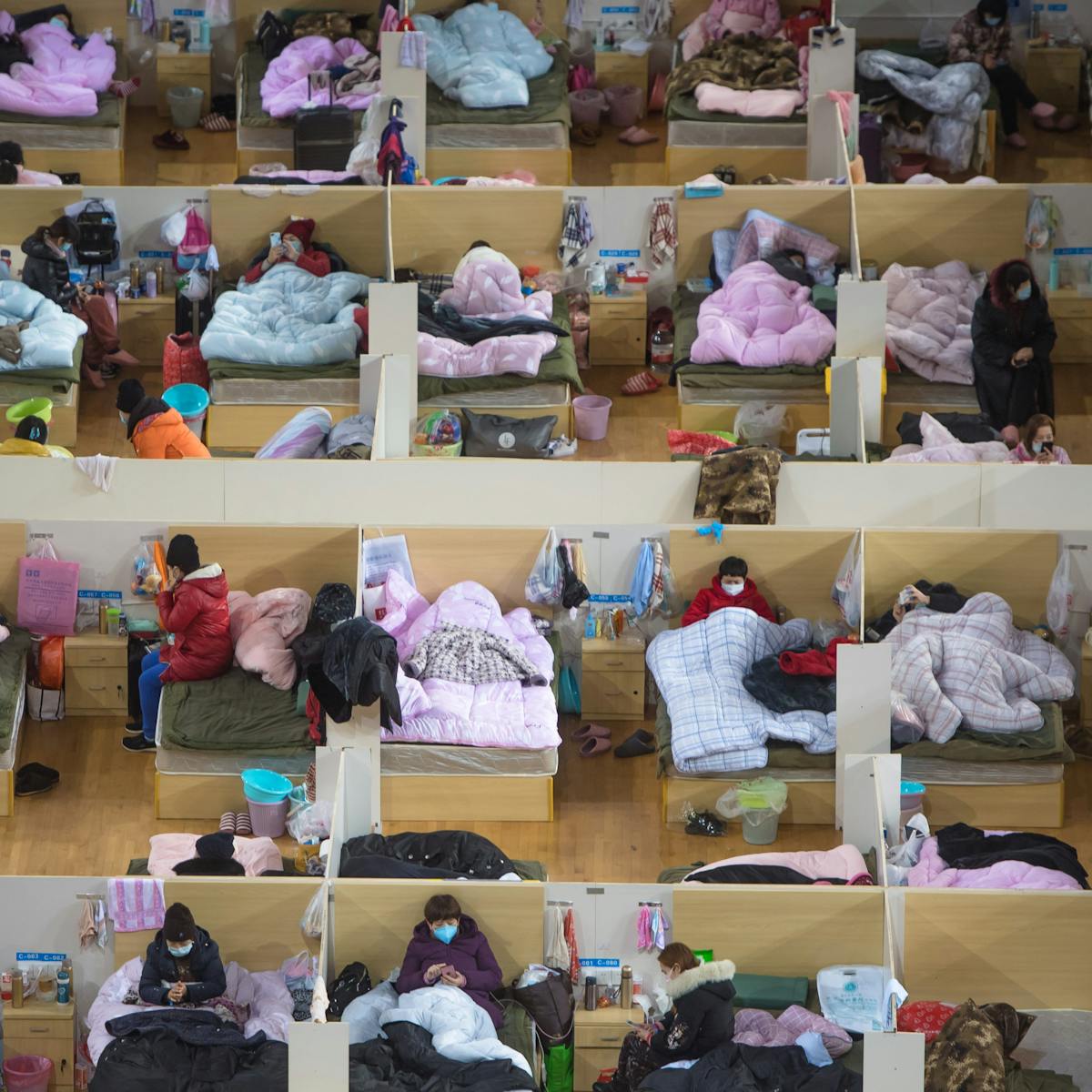 What Are Viruses Anyway And Why Do They Make Us So Sick 5 Questions Answered