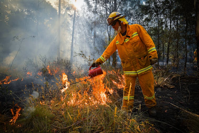 The burn legacy: why the science on hazard reduction is contested