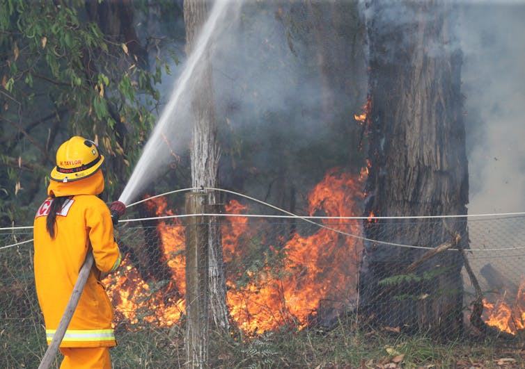 The burn legacy: why the science on hazard reduction is contested