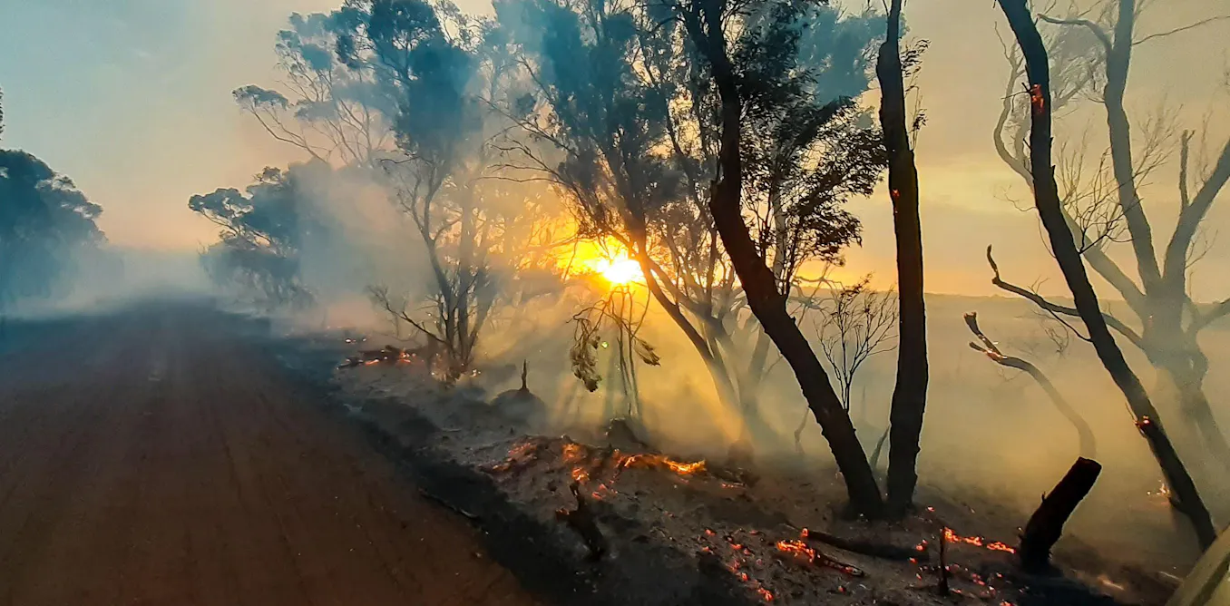 I made bushfire maps from satellite data, and found a glaring gap in ...