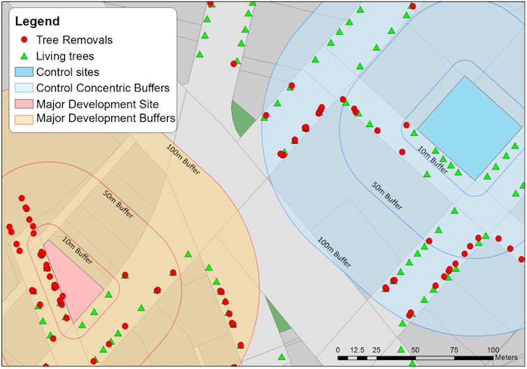 Thousands of city trees have been lost to development, when we need Thousands of city trees have been lost to development, when we need