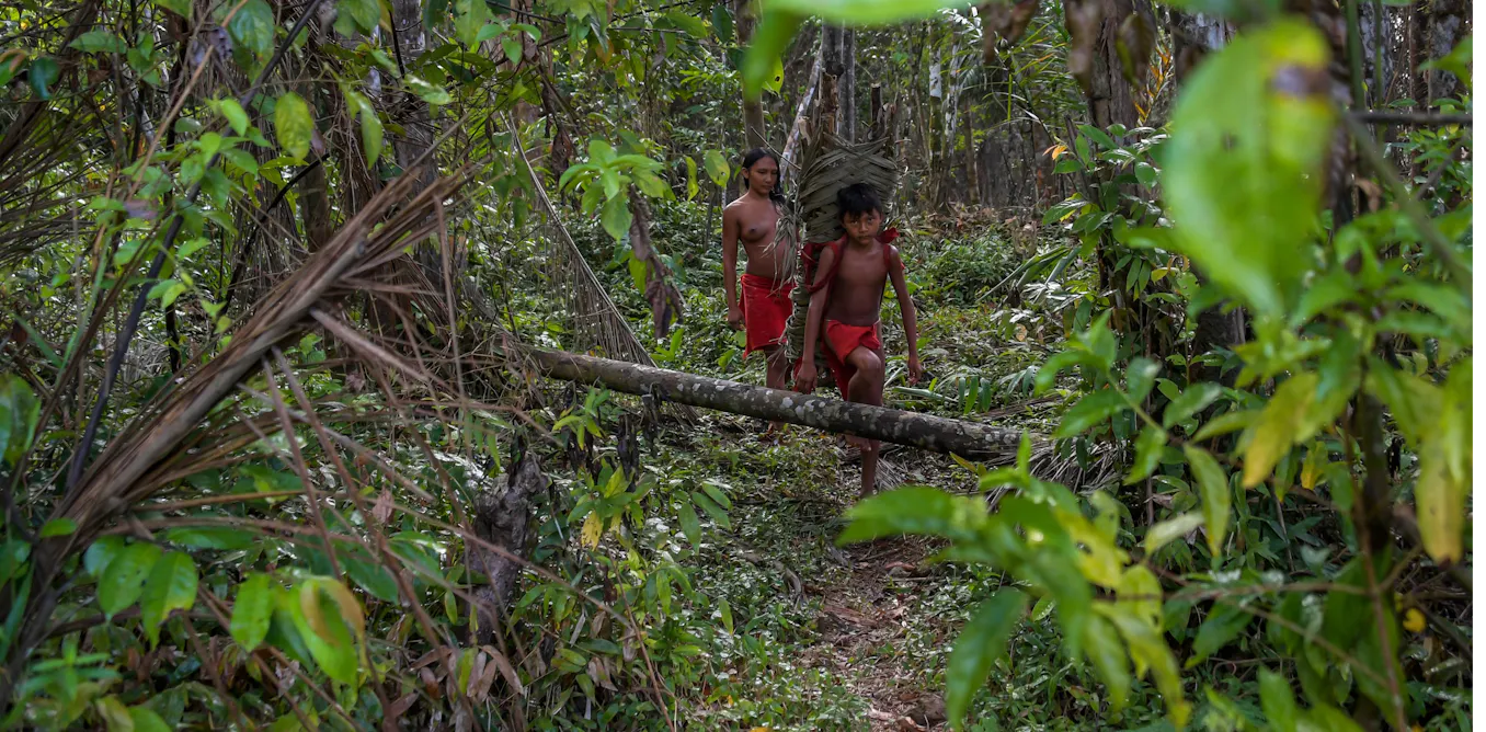 Indigenous people may be the Amazon’s last hope