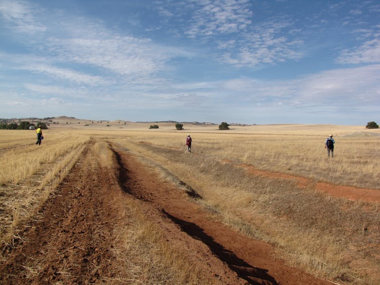 Unearthing a traditional Irish village that lingered in a South Australian field