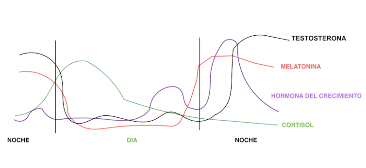 ¿A qué hora es mejor entrenar? Depende del tipo de ejercicio 12 file 20200227 24651 u4sj0j.png?ixlib=rb 1.1