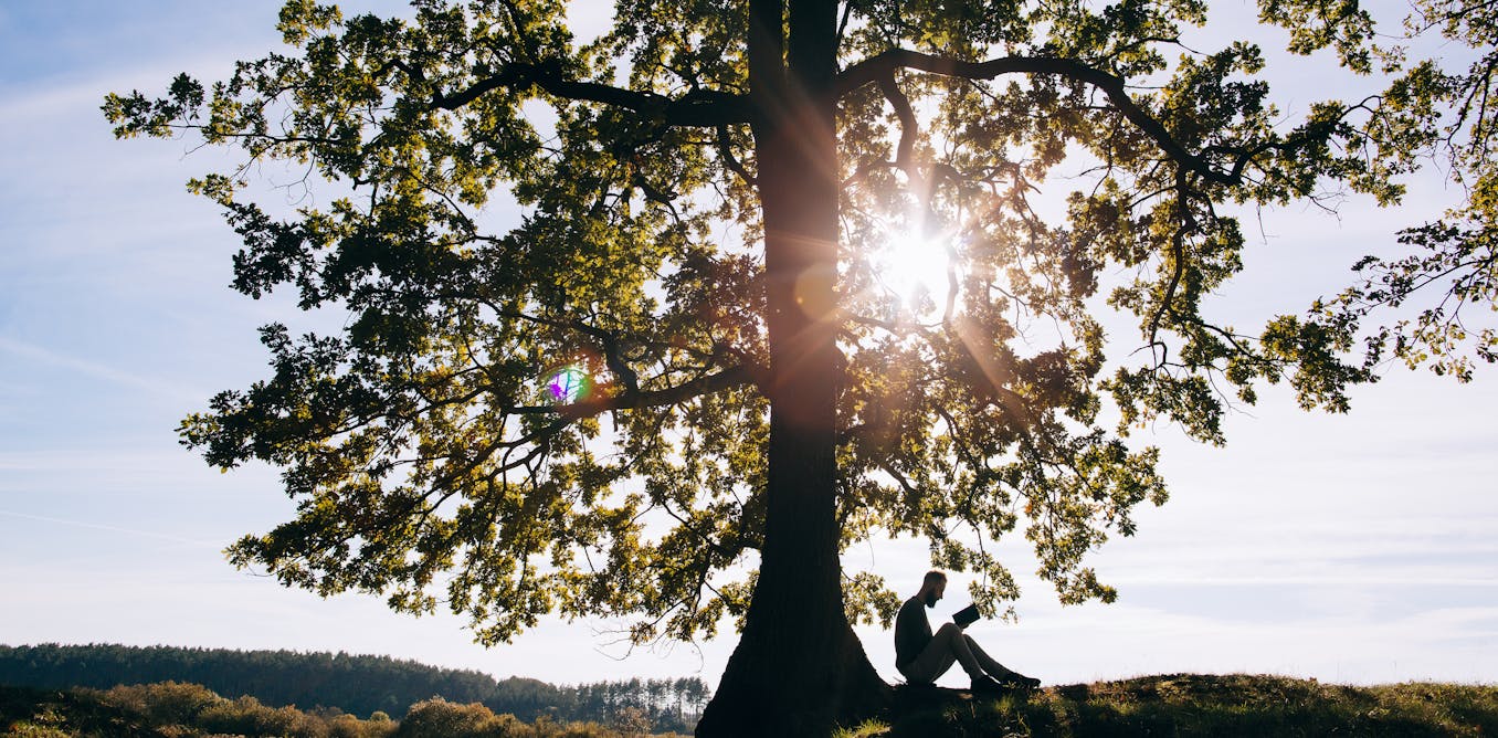 Stress: How nature helps us to fight stress: Wonderful nature: 2022 7 file 20200228 24664 76e5o1.jpg?ixlib=rb 1.1