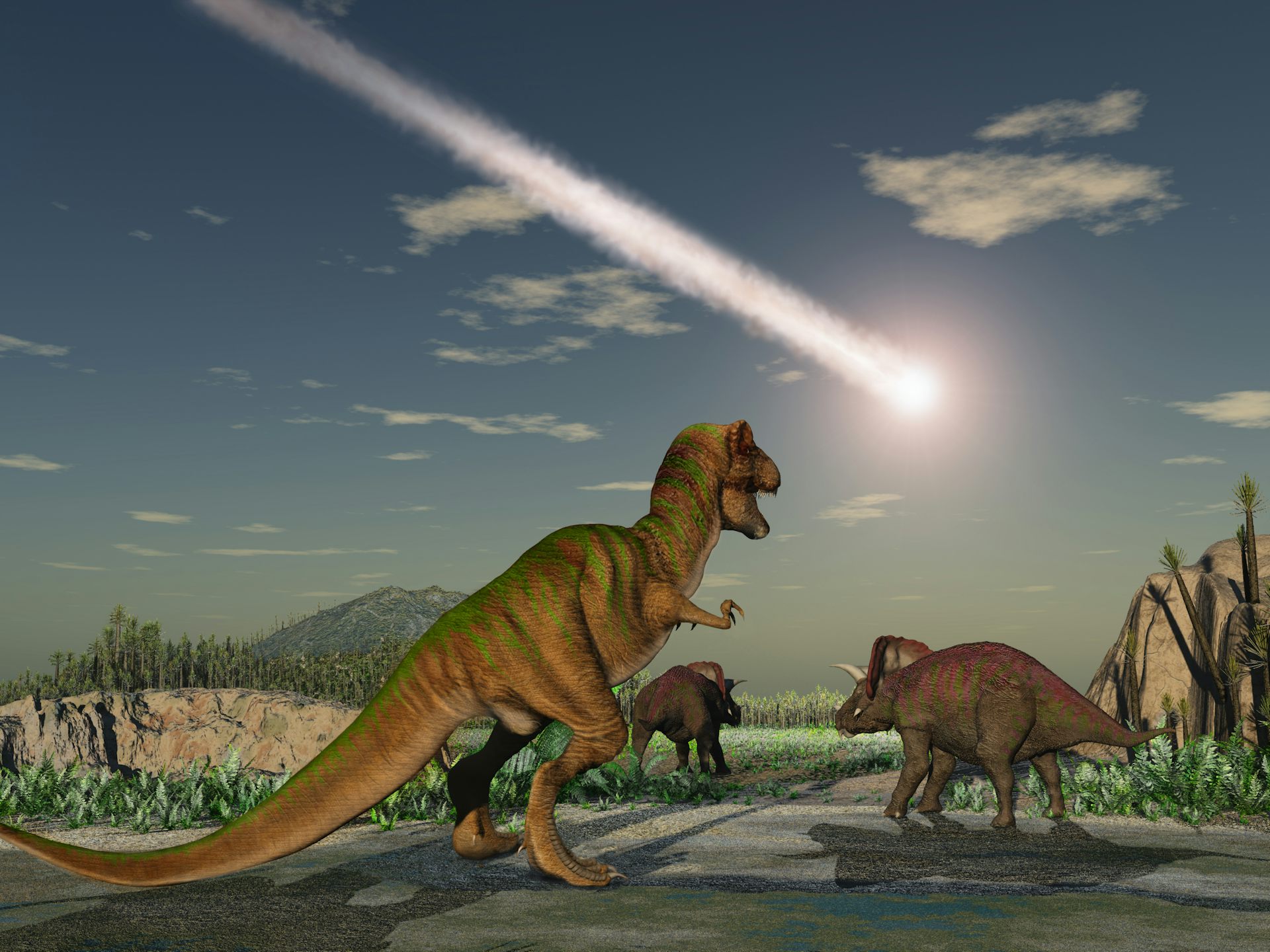 Curious Kids What Effect Did The Asteroid That Wiped Out The Dinosaurs Have On Plants And Trees