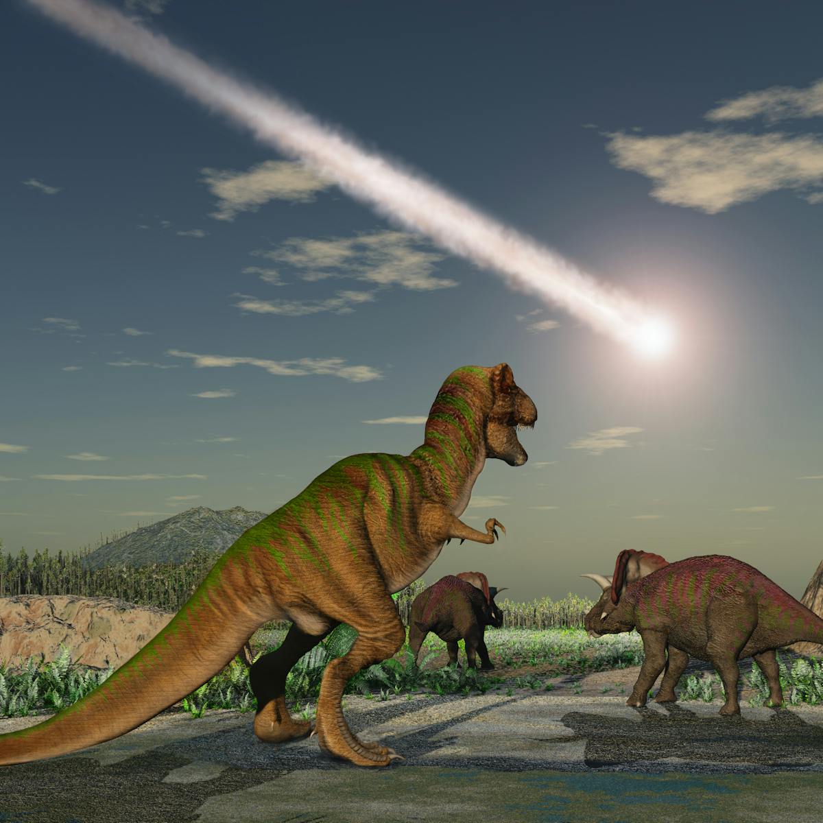 Curious Kids What Effect Did The Asteroid That Wiped Out The Dinosaurs Have On Plants And Trees