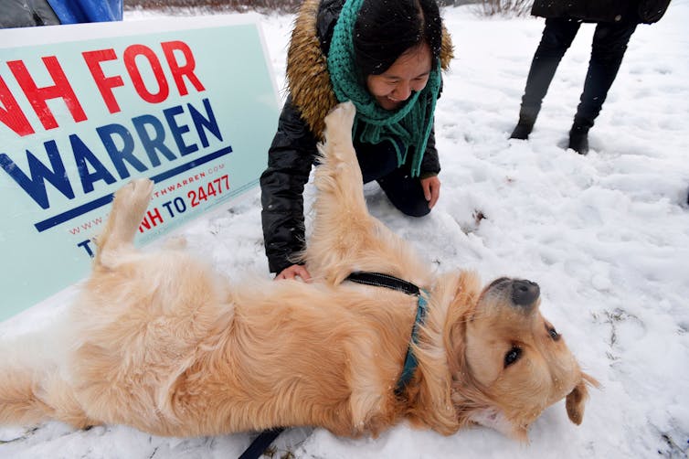 Could a dog pick the next president?