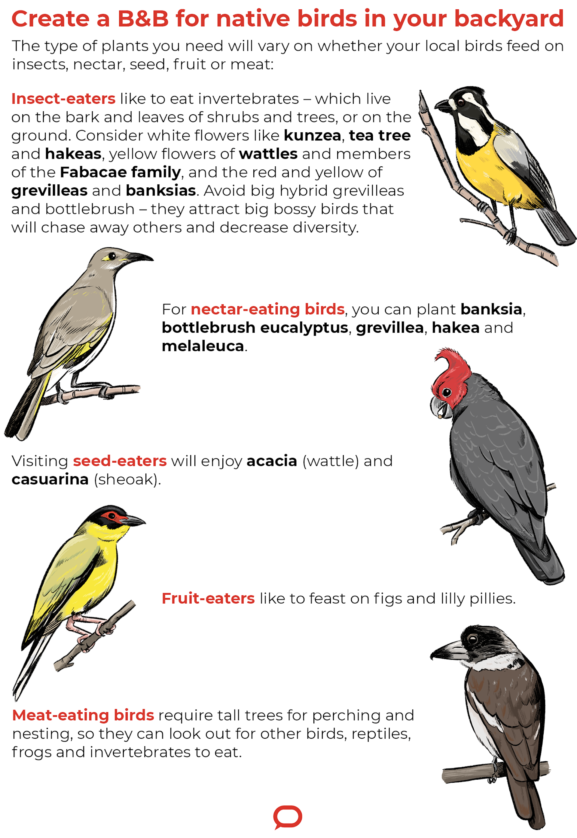 B&Bs For Birds And Bees: Transform Your Garden Or Balcony Into A ...